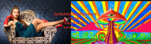 ешки Карпинск